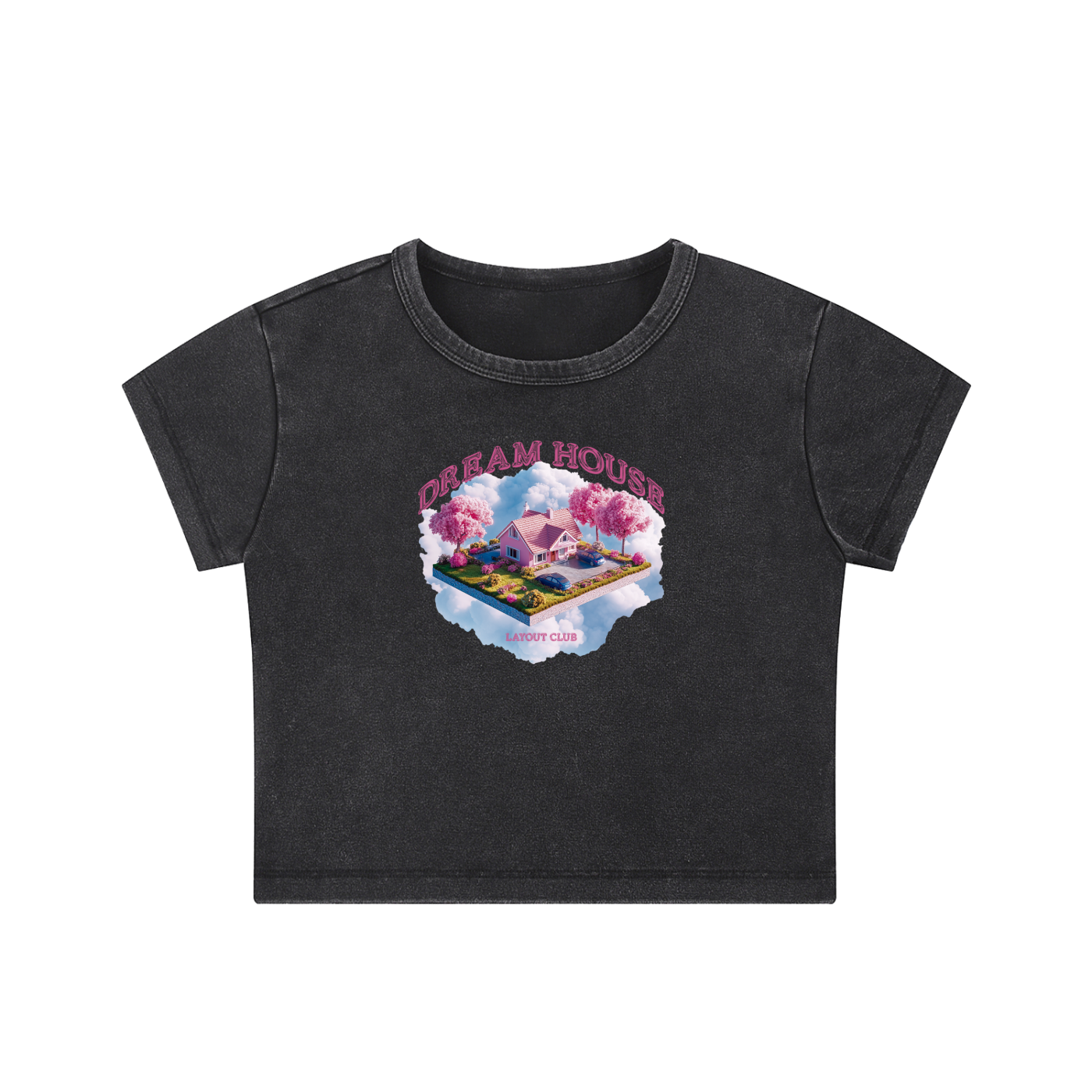 Dream House Washed Crop T-shirt